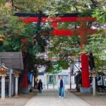 Silence, Gai Buzz: A Self Guided Shinjuku Walking Tour - Who Will Love This Tour?