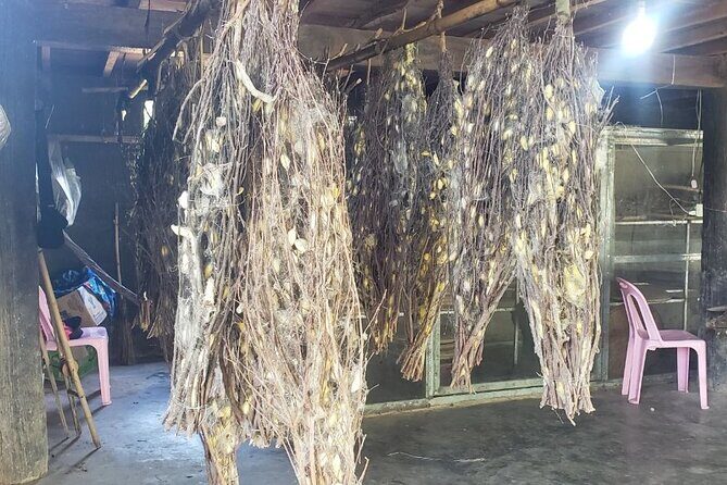 Silk Mekong Island Haft Day Tour - Why This Tour Could Be Perfect for You