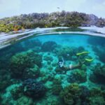 Similan Islands: Cruise & Marine Exploration from Khao Lak - Transportation, Timing, and Group Size