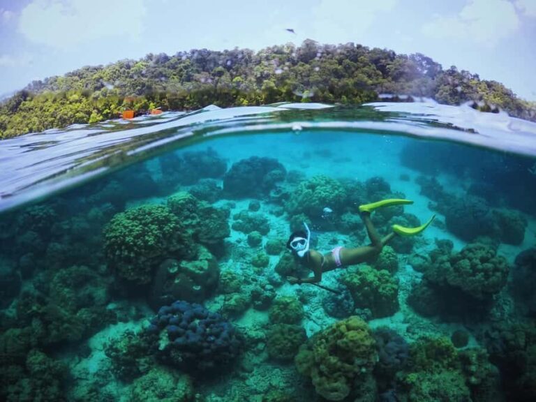 Similan Islands: Cruise & Marine Exploration from Khao Lak - Transportation, Timing, and Group Size