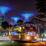 Singapore: Big Bus Night Tour by Open-Top Bus & Live Guide - A Closer Look at the Itinerary