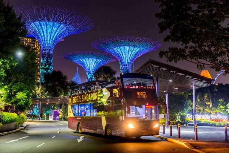 Singapore: Big Bus Night Tour by Open-Top Bus & Live Guide - A Closer Look at the Itinerary
