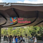 Singapore: Bird Paradise - Exploring Bird Paradise: An In-Depth Look