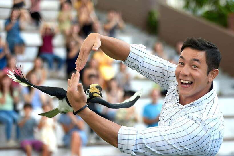 Singapore: Bird Paradise Entry Ticket - What to Expect at Singapores Bird Paradise