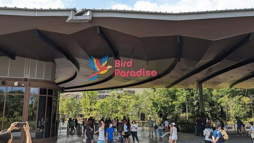Singapore: Bird Paradise - Exploring Bird Paradise: An In-Depth Look