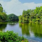 Singapore: Botanic Gardens & Tiong Bahru Walk w/Breakfast - Who Will Love This Tour?