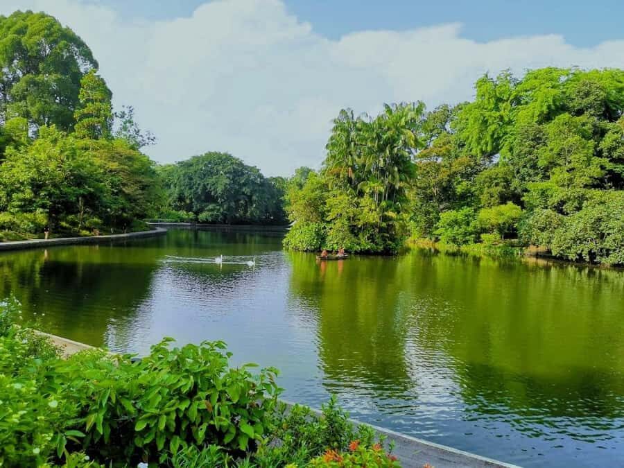 Singapore: Botanic Gardens & Tiong Bahru Walk w/Breakfast - Who Will Love This Tour?