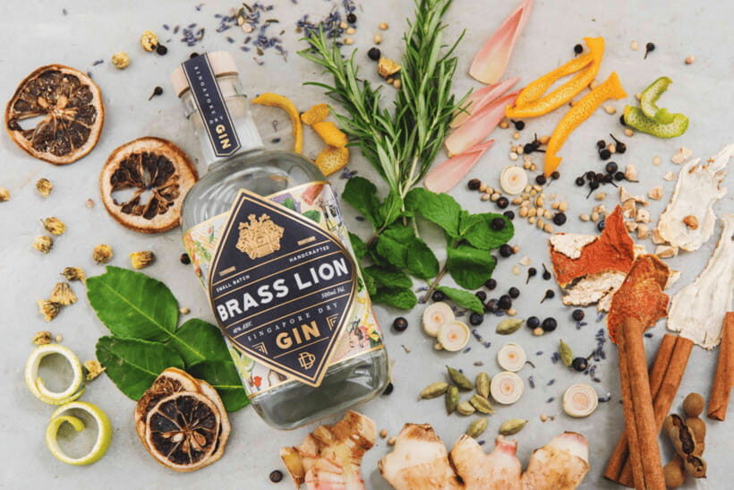 Singapore: Brass Lion Gin Distillery Tour Ticket - What to Expect from the Brass Lion Gin Distillery Tour in Singapore