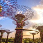 Singapore: City Tour & Jurassic World at Gardens by the Bay - What’s Included and What’s Not