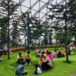 Singapore: Discover Jewel Changi Guided Tour - Who Will Love This Tour?