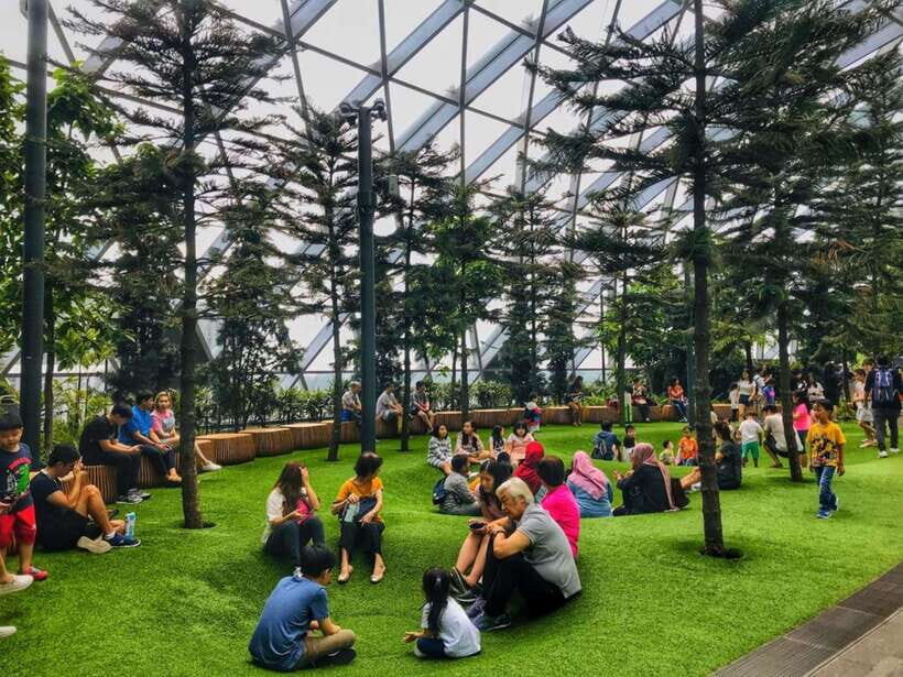 Singapore: Discover Jewel Changi Guided Tour - Who Will Love This Tour?