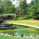 Singapore Garden City Experiences with Stunning Parks Views - Who Is This Tour Best Suited For?