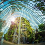Singapore: Gardens by the Bay Admission E-Ticket - Who Will Love This Experience?