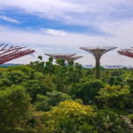 Singapore: Gardens by the Bay Bundle Entry Ticket - Exploring the Main Attractions