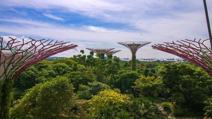 Singapore: Gardens by the Bay Bundle Entry Ticket - What Travelers Say: Authentic Insights