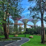 Singapore: Gardens by the Bay Guided Tour - Practical Details and Value