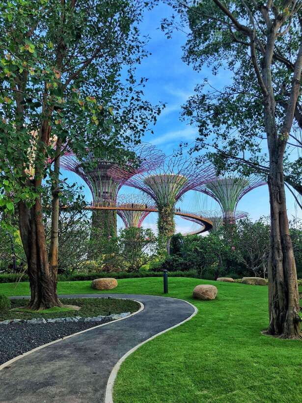 Singapore: Gardens by the Bay Guided Tour - Practical Details and Value