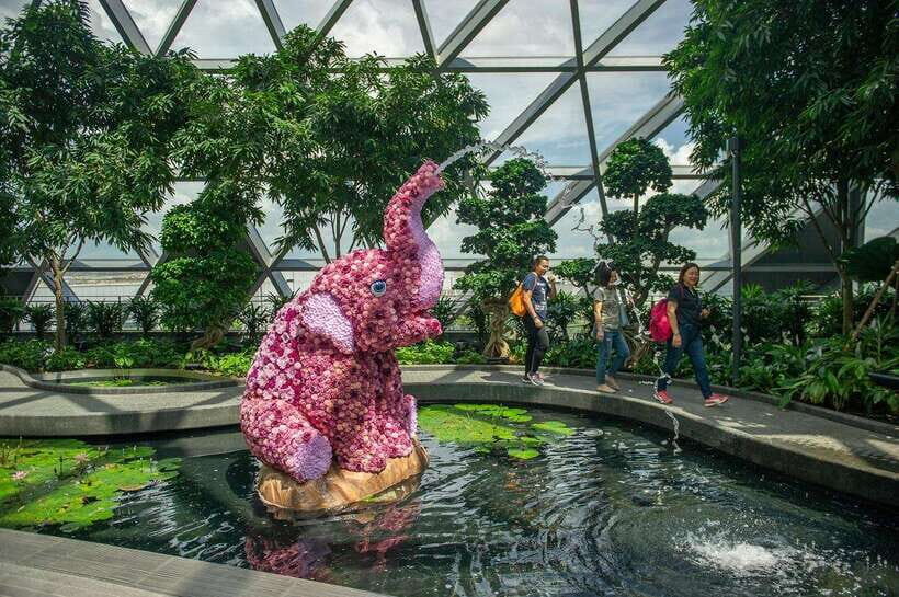 Singapore: Jewel Changi Airport Attraction Ticket - What to Expect from the Attractions