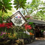 Singapore: National Orchid Garden Admission - Who Will Love the National Orchid Garden?