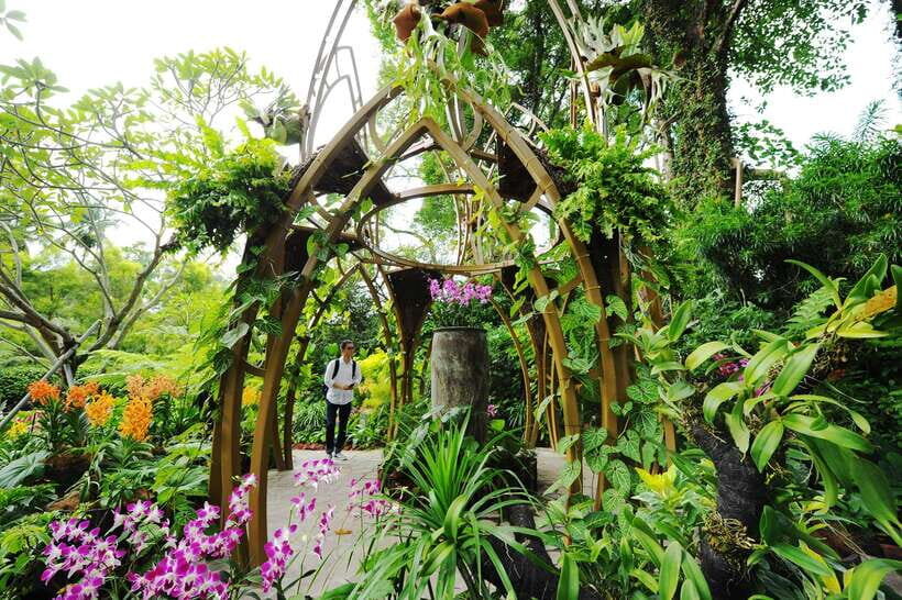 Singapore: National Orchid Garden Entry Tickets - Who Will Love the National Orchid Garden?