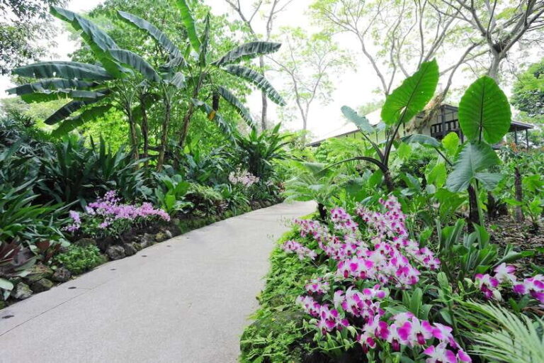 Singapore: National Orchid Garden Entry Tickets - Who Will Love the National Orchid Garden?