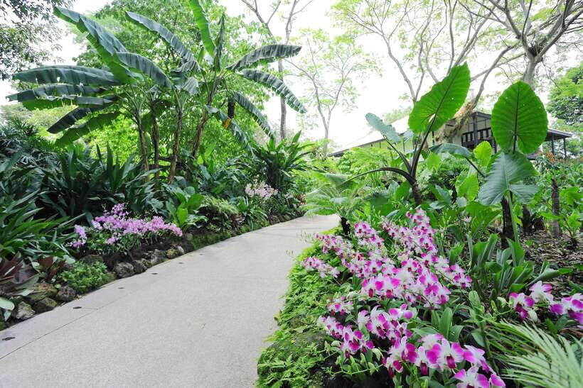 Singapore: National Orchid Garden Entry Tickets - Who Will Love the National Orchid Garden?