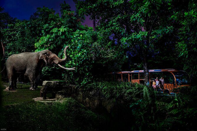 Singapore Night Safari Ticket Experience - Who Will Love This Experience?