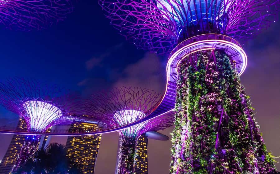 Singapore: Night Tour with River Cruise & Light Shows - The Itinerary Breakdown