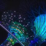 Singapore OCBC Skyway Flower dome Cloud Forest Garden by the Bay - The Sum Up: Who Will Love This Tour?