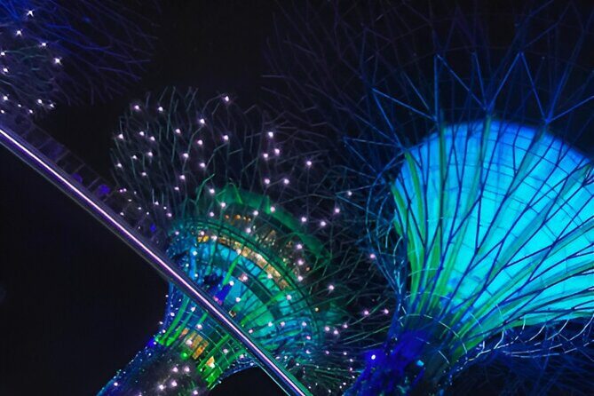 Singapore OCBC Skyway Flower dome Cloud Forest Garden by the Bay - The Sum Up: Who Will Love This Tour?