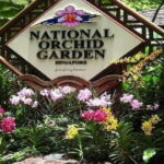 Singapore: Private Full-Day Island Tour - A Deep Dive into the Itinerary