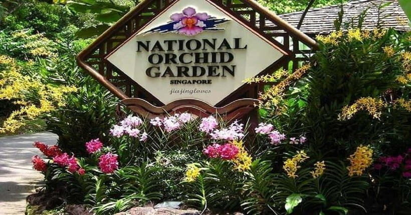 Singapore: Private Full-Day Island Tour - A Deep Dive into the Itinerary