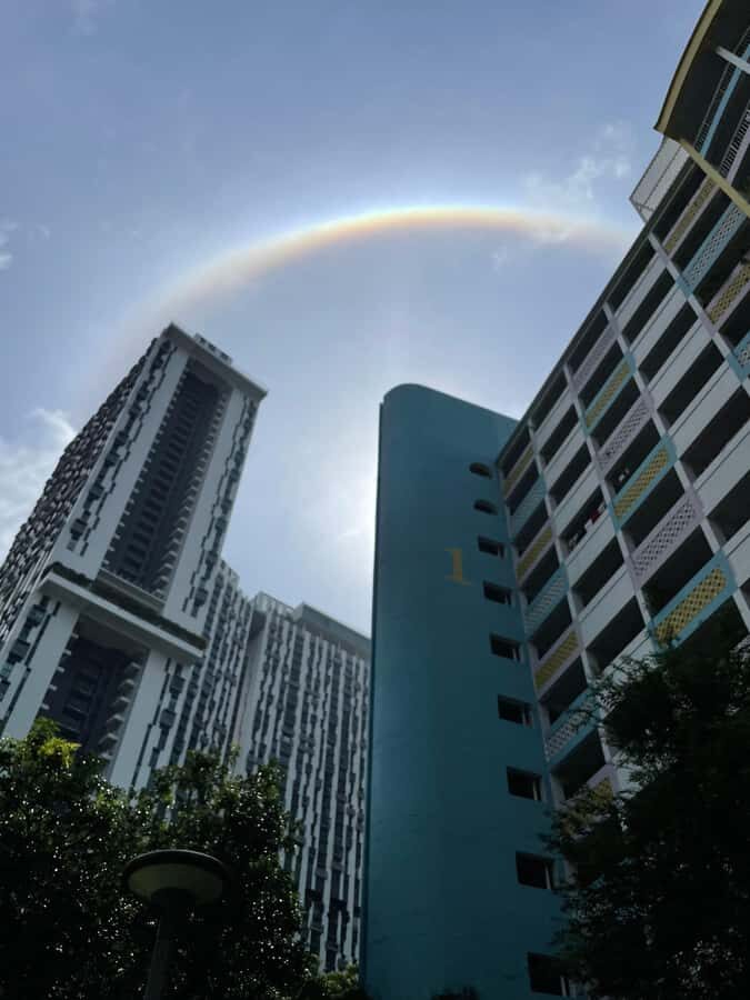 Singapore: Public Housing & Local Life Private Walking Tour - A Closer Look at the Tour Itself