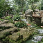 Singapore: Rainforest Wild Asia Entry Ticket - What We Liked Most