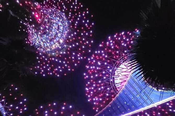 Singapore River Cruise and Light Shows - What We Love About This Tour