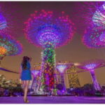 Singapore River Cruise, Spectra & Garden Rhapsody Light Show - The Itinerary in Detail