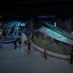 Singapore: Singapore Oceanarium Entrance E-Ticket - The Sum Up: Is the Singapore Oceanarium worth your visit?