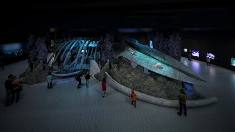 Singapore: Singapore Oceanarium Entrance E-Ticket - The Sum Up: Is the Singapore Oceanarium worth your visit?