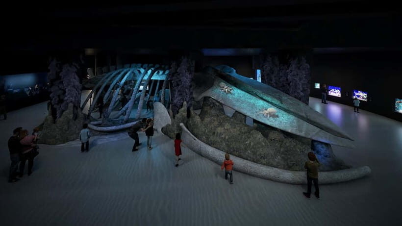 Singapore: Singapore Oceanarium Entrance E-Ticket - The Sum Up: Is the Singapore Oceanarium worth your visit?