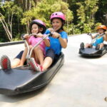 Singapore: Skyline Luge Sentosa Tickets - What Is the Skyline Luge Sentosa Experience?