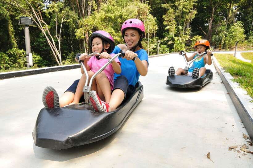 Singapore: Skyline Luge Sentosa Tickets - What Is the Skyline Luge Sentosa Experience?