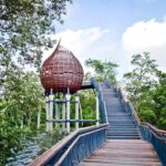 Singapore: Sungei Buloh Wetland Reserve Private Tour - Why Choose This Private Wetland Tour?