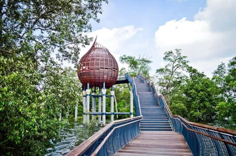 Singapore: Sungei Buloh Wetland Reserve Private Tour - Why Choose This Private Wetland Tour?