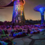 Singapore: Twilight Tour with River Cruise and Light Shows - Good To Know