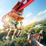 Singapore: Universal Studios Singapore Entry Ticket - Who Is This Experience Best For?