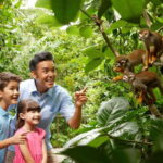 Singapore Zoo: 1-Day Entrance E-Ticket - Authentic Insights from Reviewers
