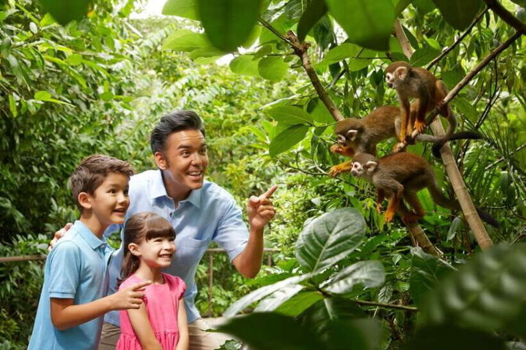 Singapore Zoo: 1-Day Entrance E-Ticket - Authentic Insights from Reviewers