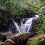 Sinharaja Rain Forest (UNESCO) & Eco 3-Day Tour with Hotel - The Itinerary in Detail
