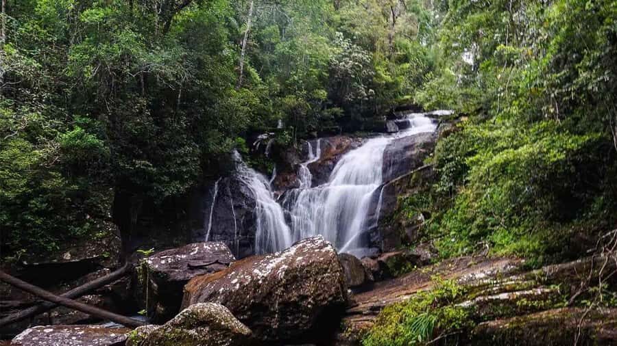 Sinharaja Rain Forest (UNESCO) & Eco 3-Day Tour with Hotel - The Itinerary in Detail