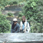 Sinharaja Rain Forest UNESCO Walk and Bird Watching Day Tour - Who Is This Tour Best For?